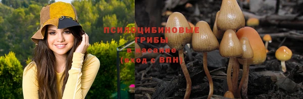 метадон Алзамай