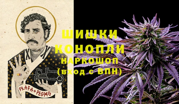 ГАЛЛЮЦИНОГЕННЫЕ ГРИБЫ Абаза